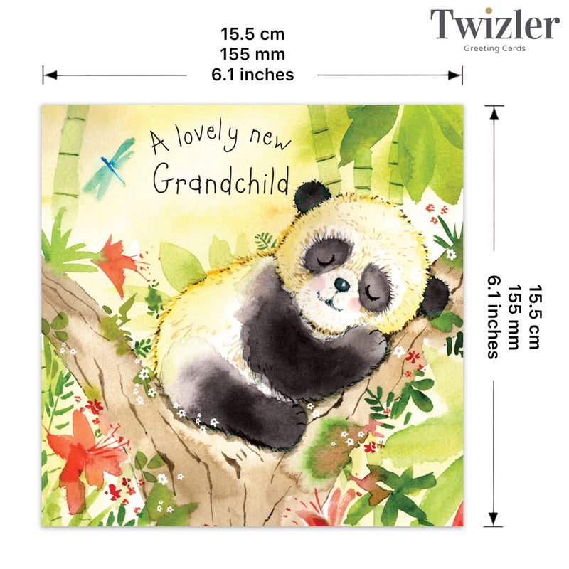 Twizler New Grandchild Greeting Card - Baby Panda - First Time Grandma, Grandpa, Grandparents Card - Congratulations Card - Unisex-Adults - Image 3